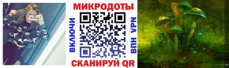 купить   Грайворон  hydra зеркало  Галлюциногенные грибы Psilocybe 